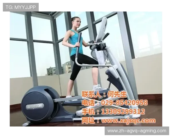 室内健身器材标准与规范：室内健身器材的选型与质量标准