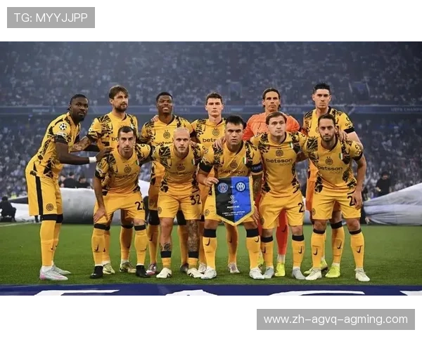 意甲球队在欧战中的赛果及表现评估