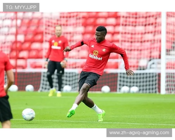 法甲球员合同现状及转会市场动态分析