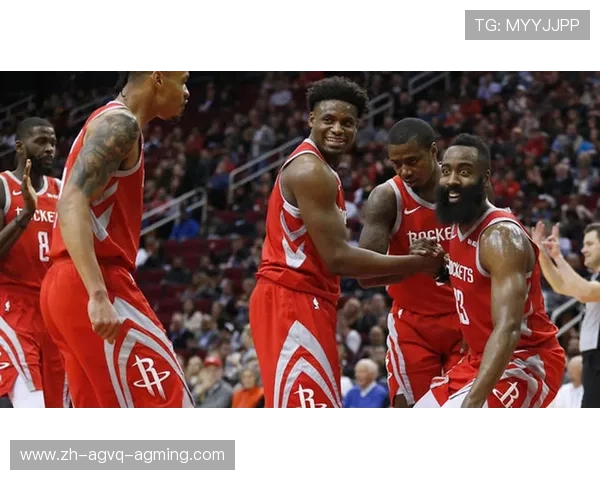 火箭队后卫豪斯的比赛表现及技术分析