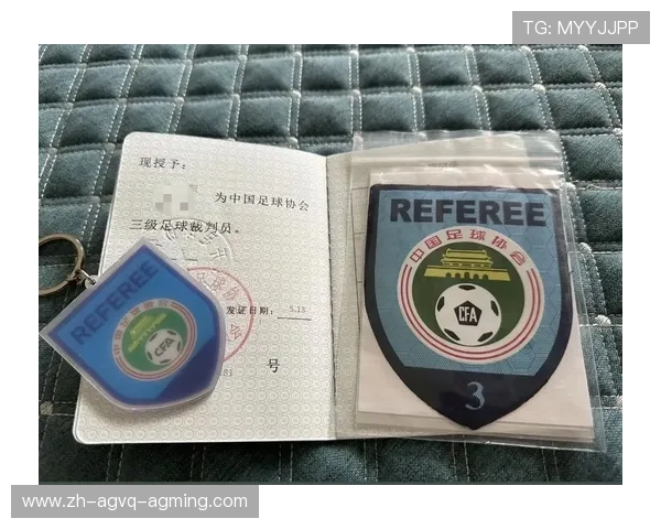 足球裁判员的职责与判罚标准